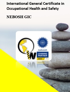 NEBOSH GIC2- English 